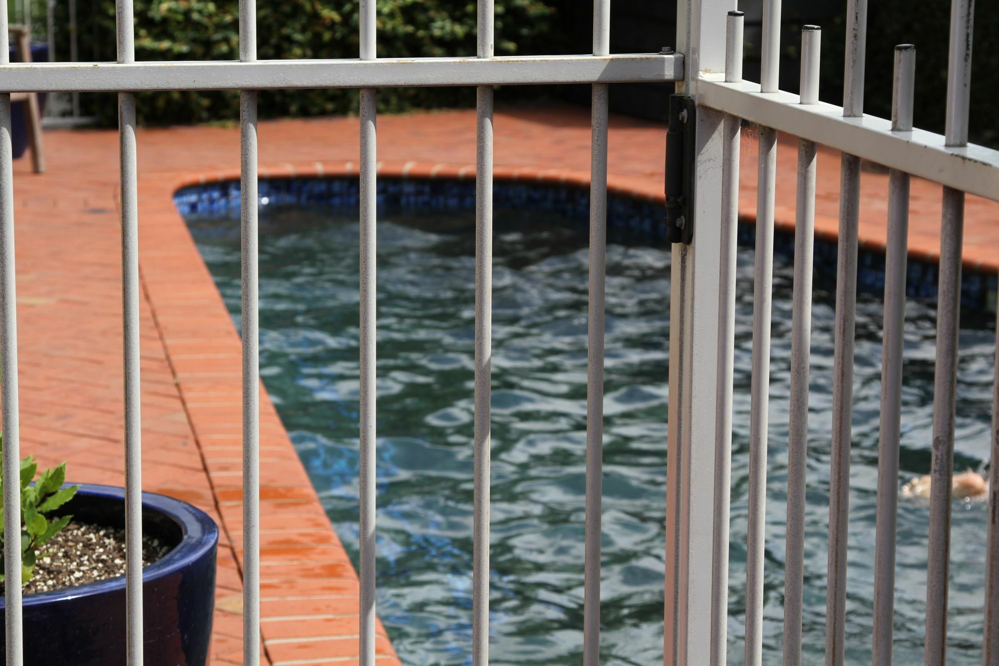 Quantum Lodge Motor Inn Hamilton Bagian luar foto